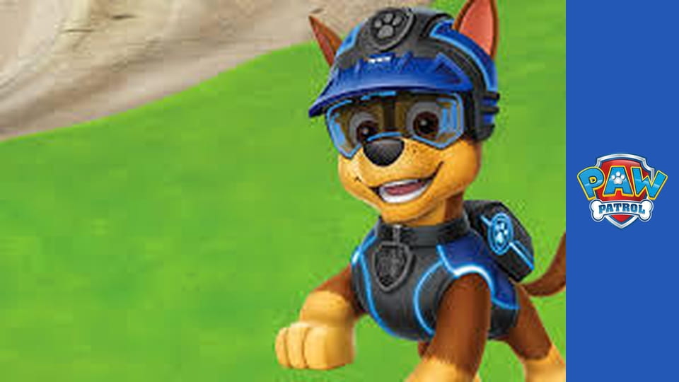 Urmărește online Patrula căţeluşilor Sezonul 1 Episodul 10