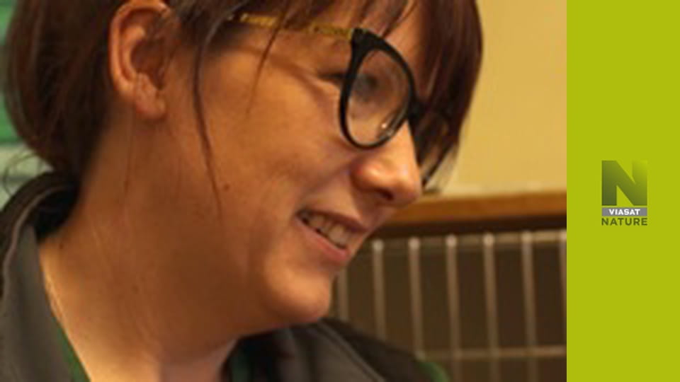 Záchranné centrum pre primáty XIV (5)