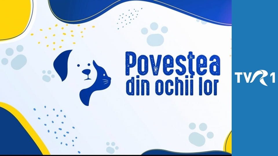 Povestea din ochii lor