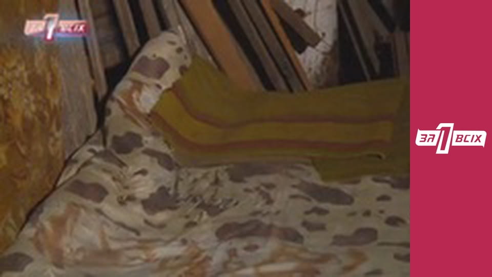 Пригріла на свою голову. Частина 3