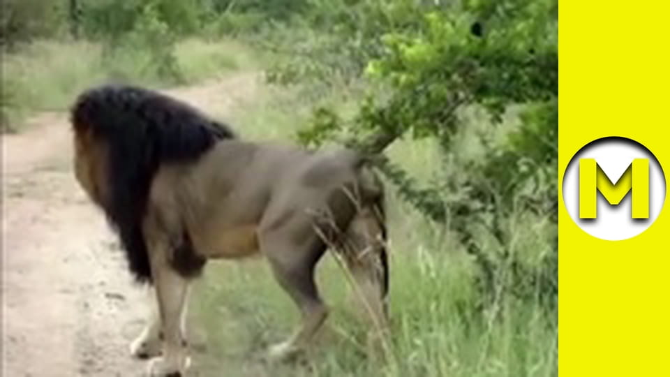 Interesting (Max TV) - season 1 - episode 4