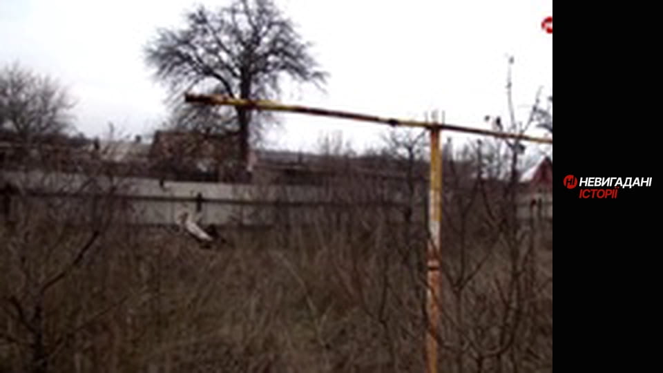 Невигадані історії. Війна. Початок.