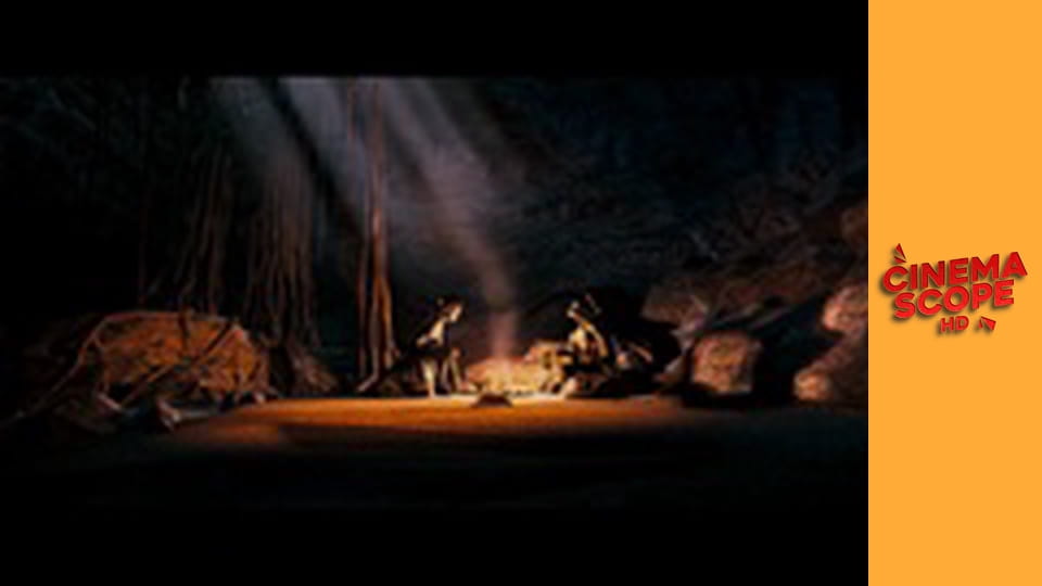 Wojownicze żółwie ninja