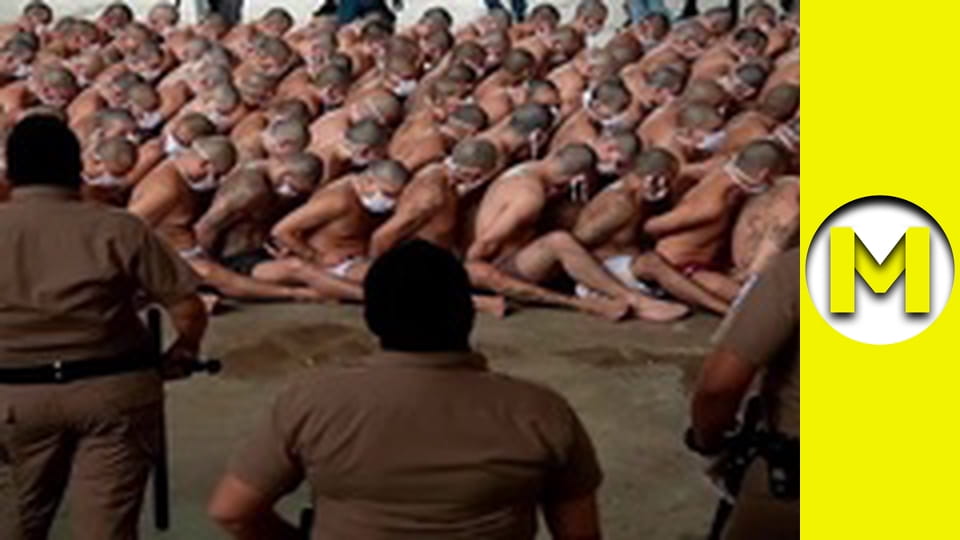 TOP (Max TV) - season 3 - episode 10