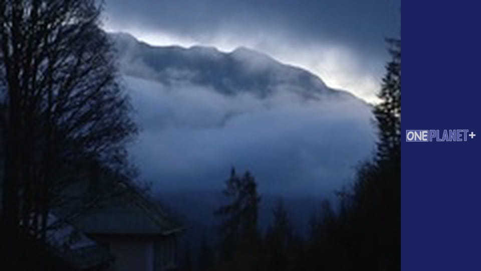 Секретно. Друга світова. - серия 4