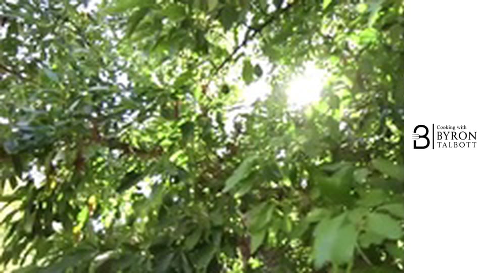 Spicy Avocado Steak Tartine