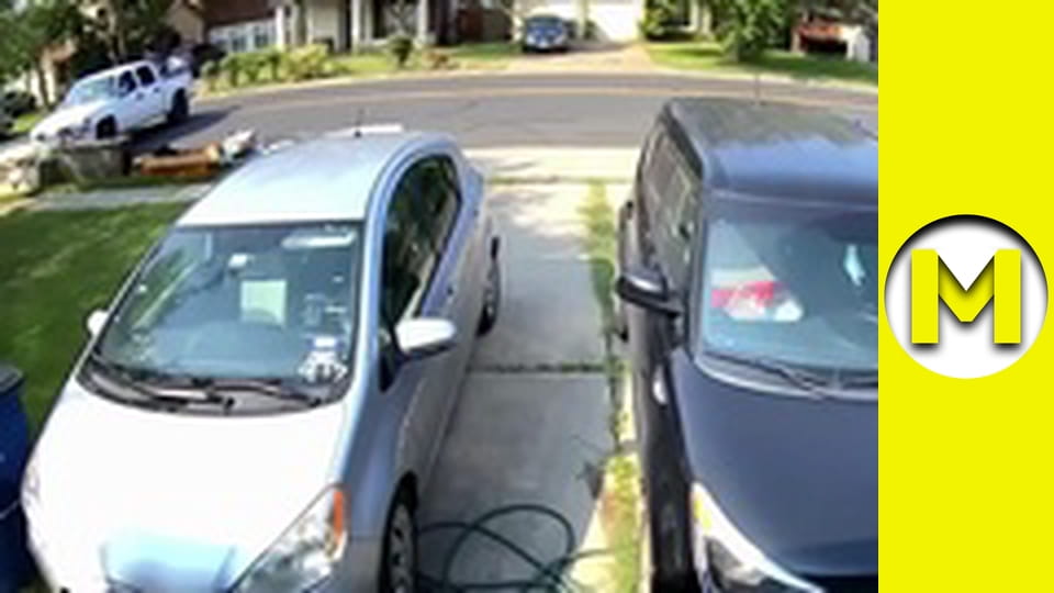 Max TV - season 1 - episode 110