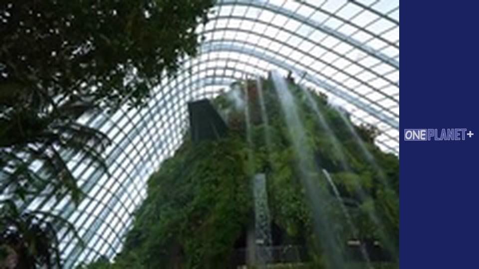 Updated Cities - series 3