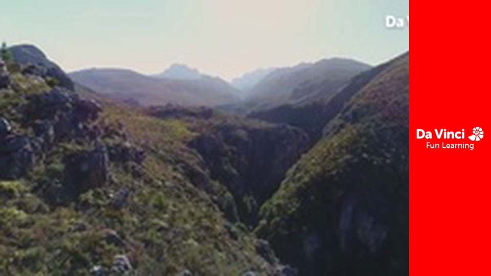 Siyaya - Sălbăticia din Cape - Pe aripi de îngeri