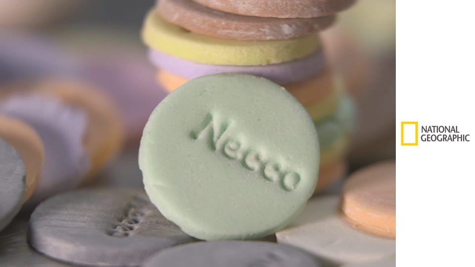 Фабрика еды S1E9 - Морковный торт и мороженое