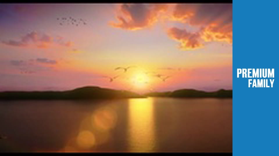 Пташиний ульот