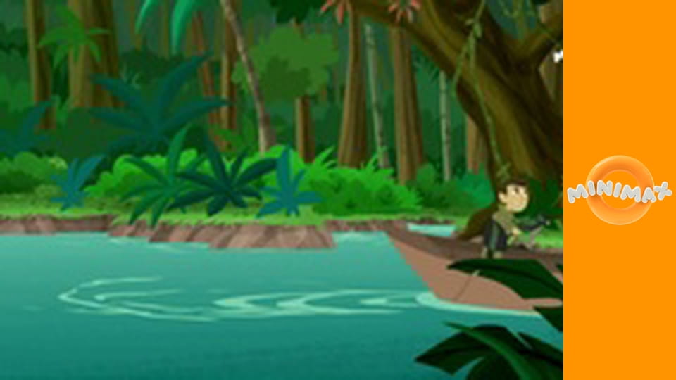 Poznáváme přírodu S6E9