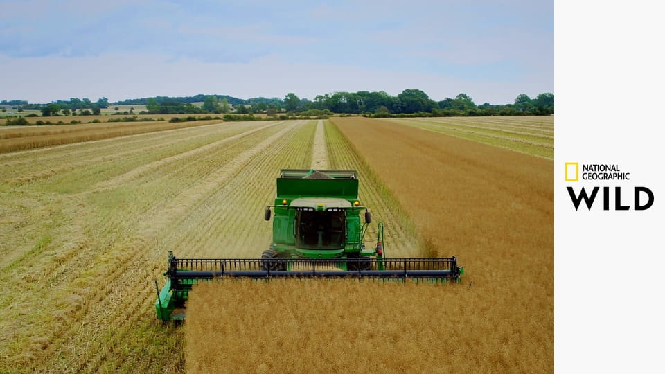 Europa z powietrza S4E4 - Belgia