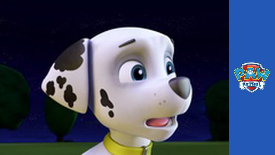 Psi Patrol Sezon 1 Odcinek 10
