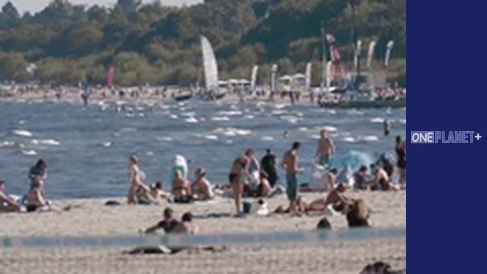 In search of knowledge. - episode 19