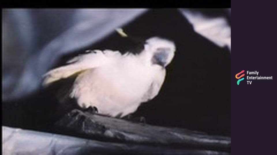 Valley of Adventure Part 2