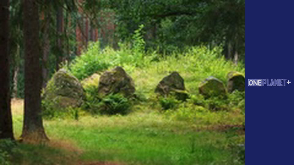 Unlocking the Past, Episode 4