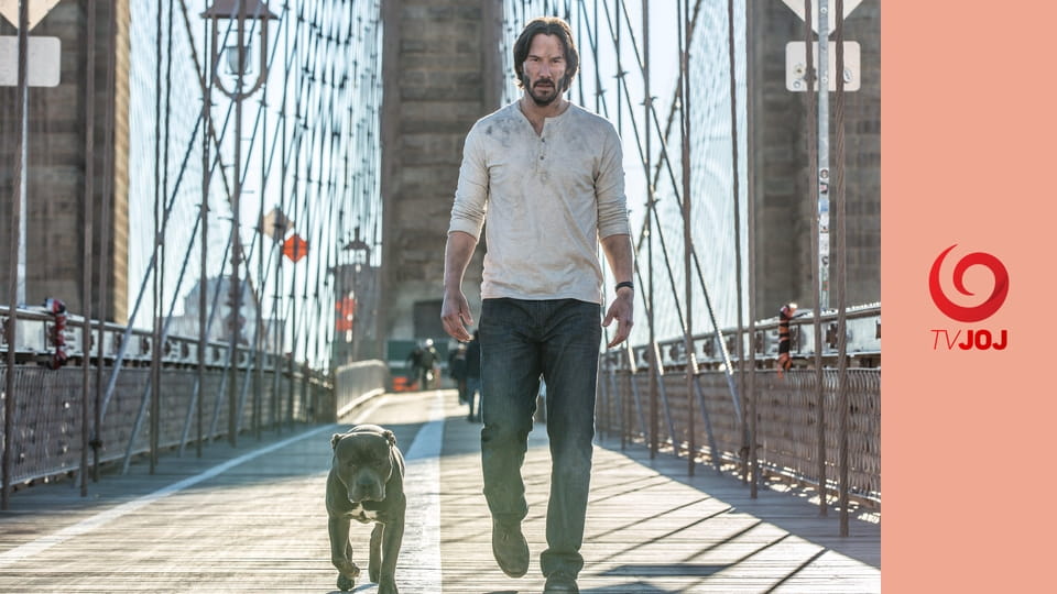 Sledovať John Wick 2 online