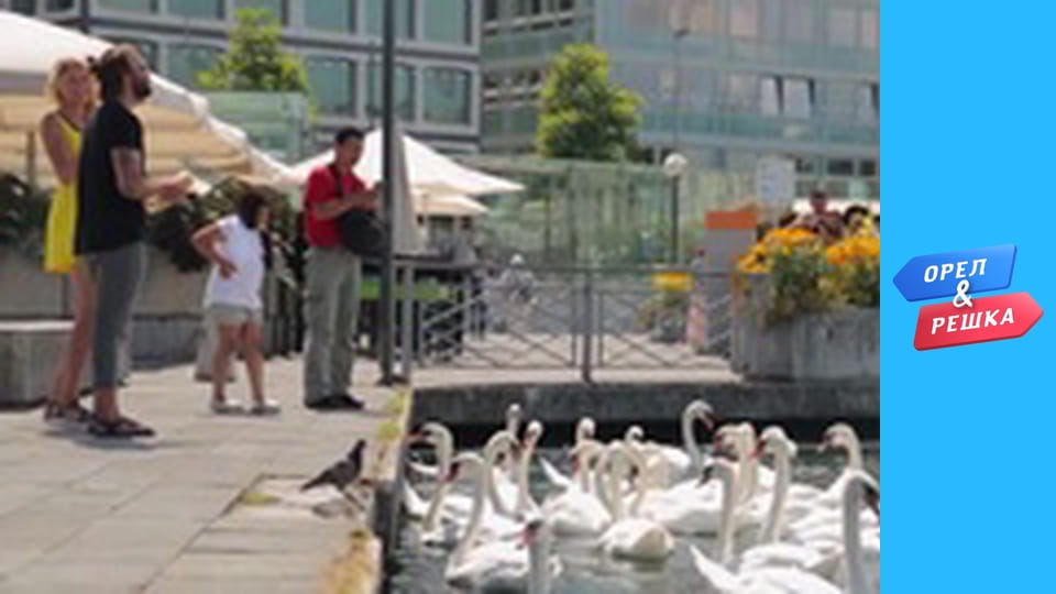 Around the M season 1 - release 8