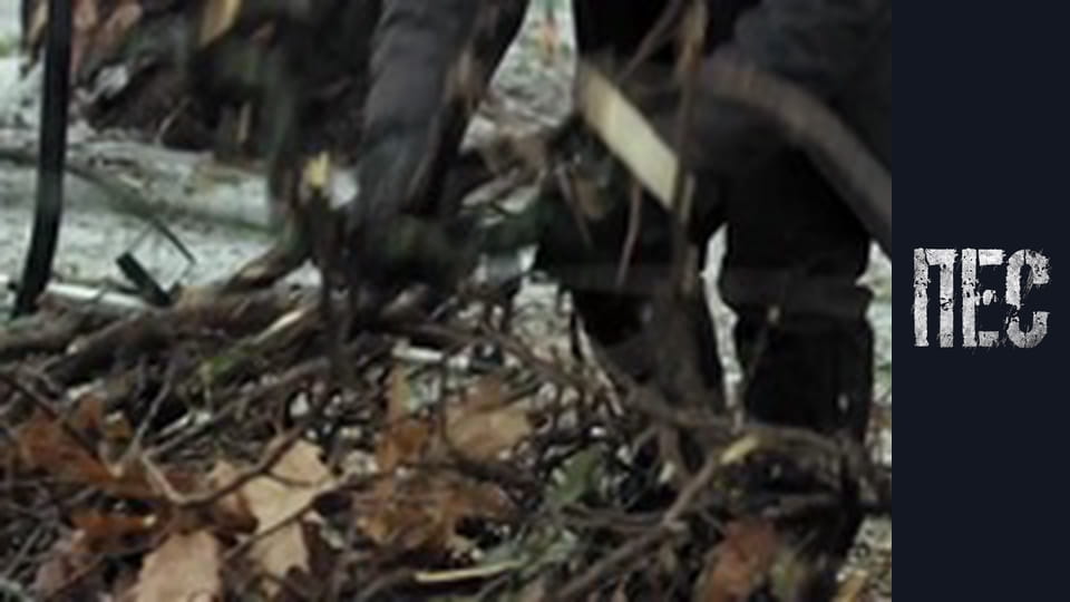 Dog, Season 6, Episode 27