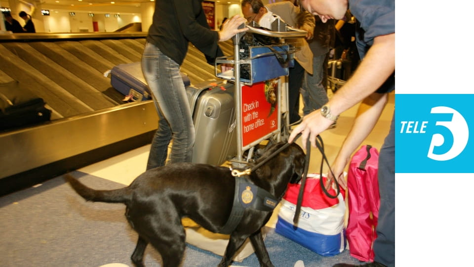 Straż graniczna S2E16