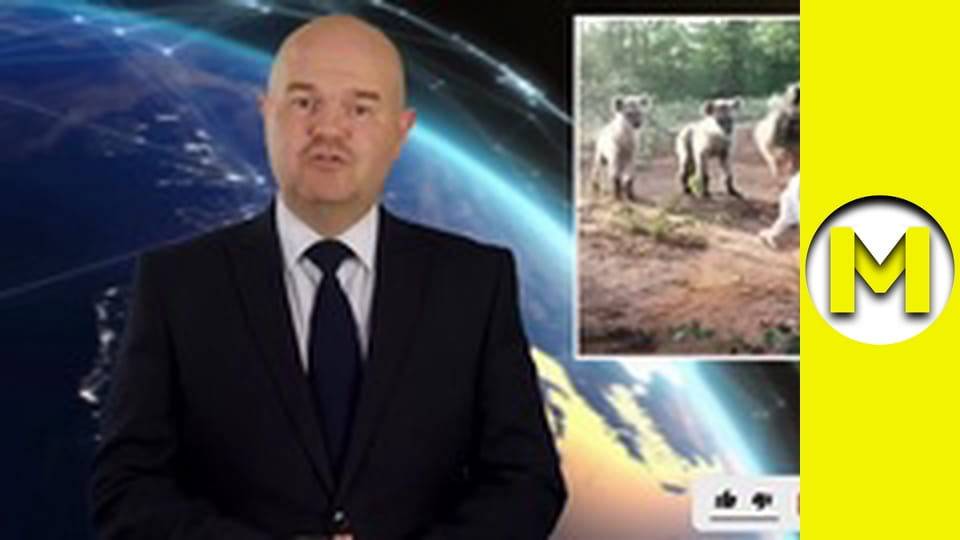 Max TV - season 1 - episode 151