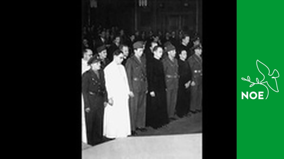 Noční repríza dopoledních pořadů