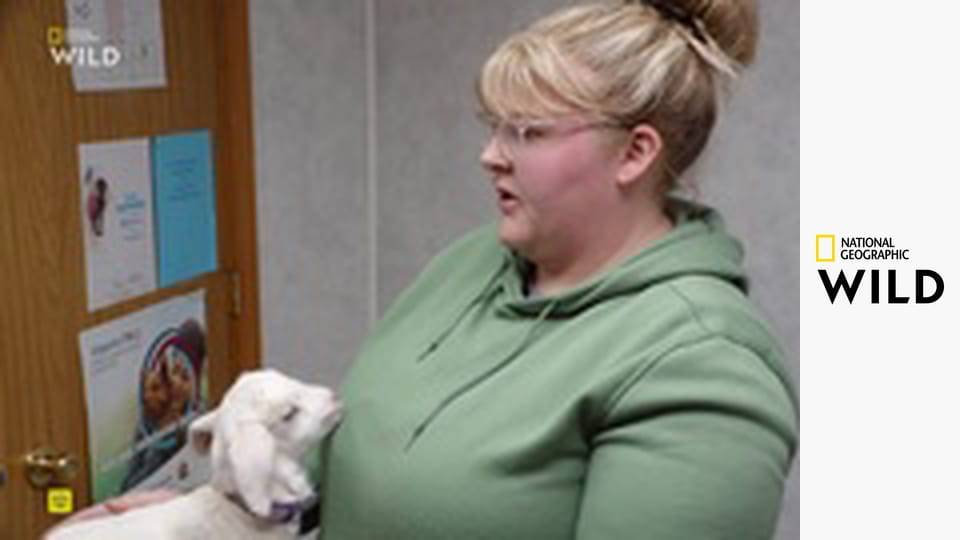 Невероятная ферма Пола S1E3