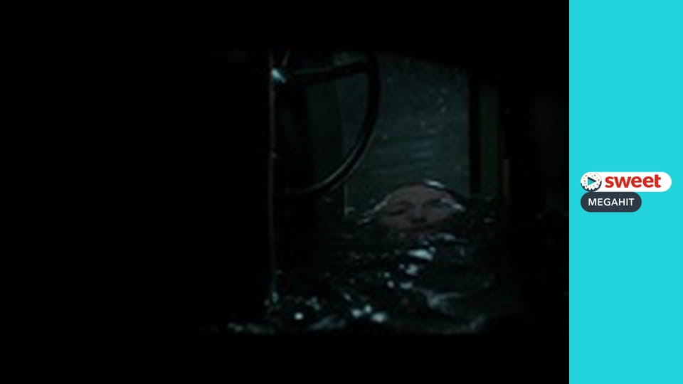 The Age of Adaline (SMegahit)