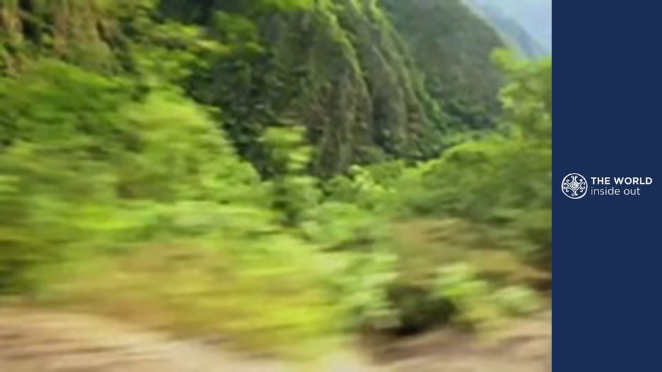 Nekonečné plantáže koky a pečené morče na špízu. Bolívie.