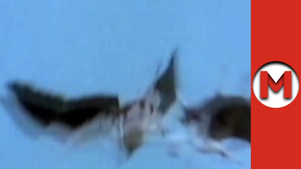 "Max Show" season 1 series 29