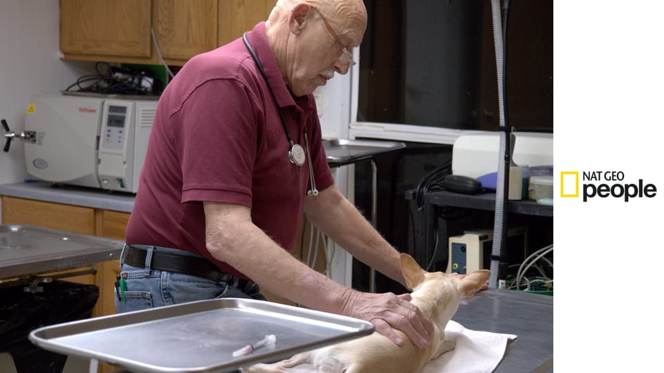 Niezwykły dr Pol S24E3 - O kurczaki!