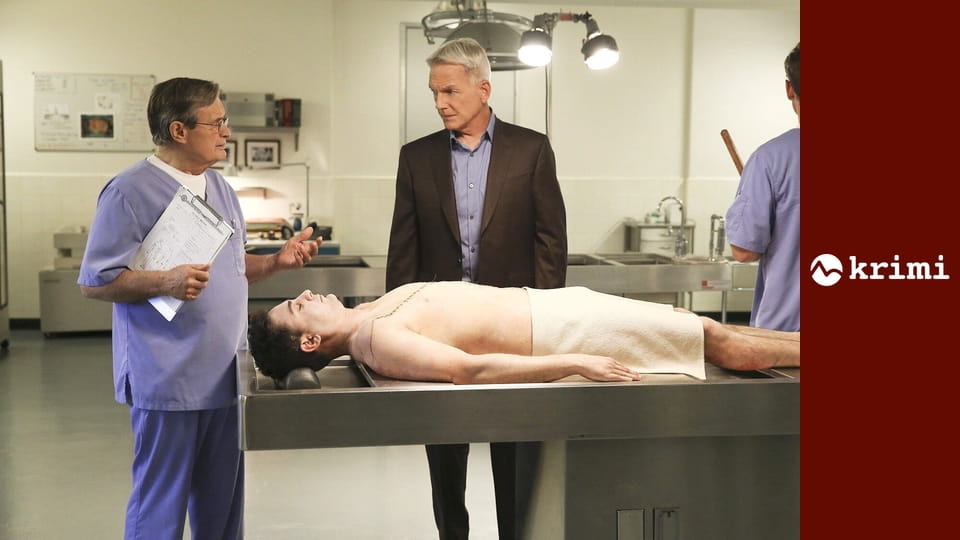 NCIS - Námorný vyšetrovací úrad S10E19 - Búrka