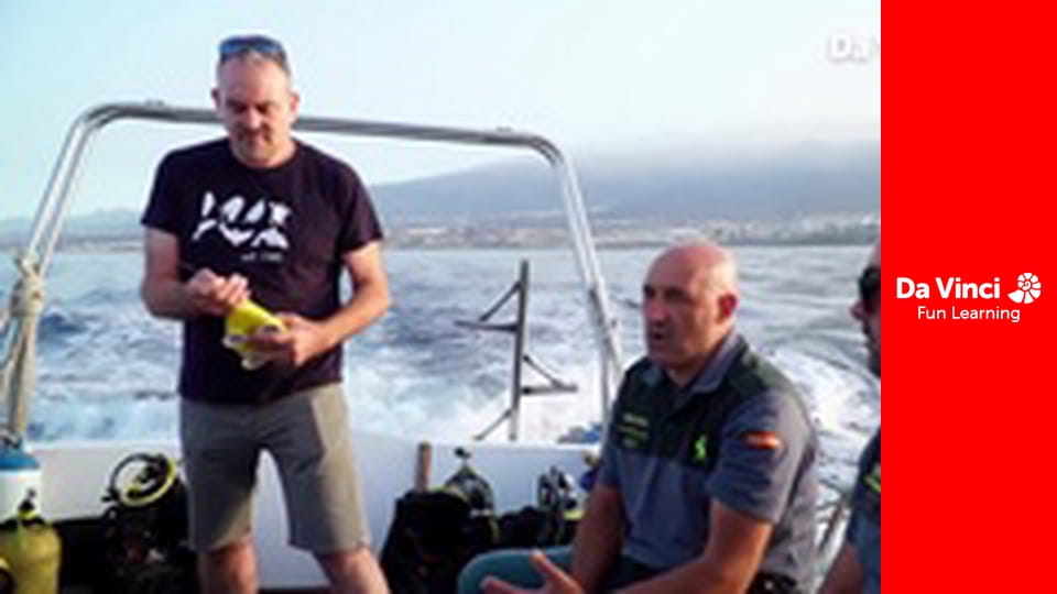 Ambasada animalelor - Delfinul