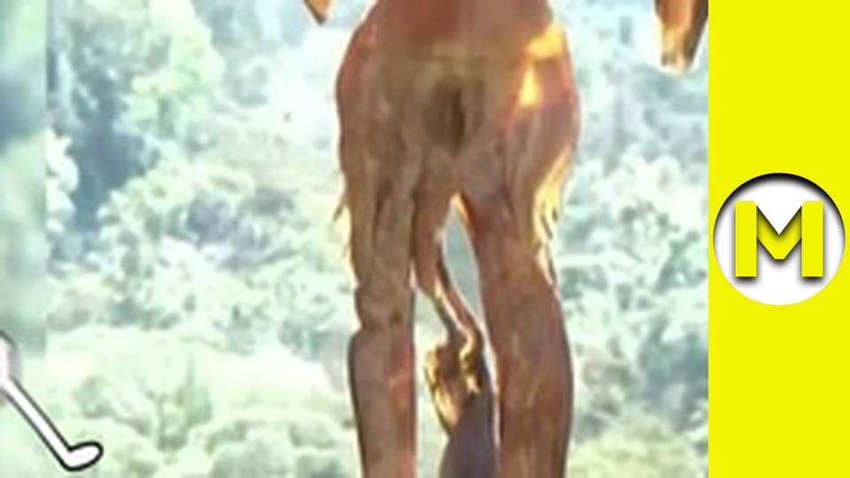 Max TV - season 2 - episode 46