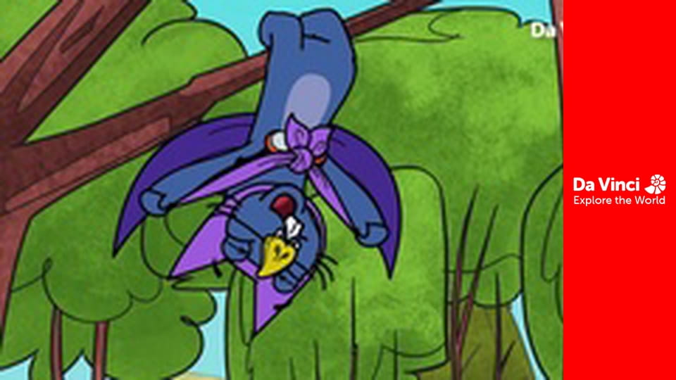 Doki - Doki Goes Batty