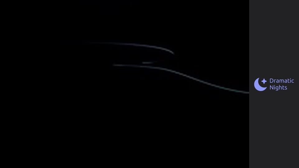 Regulile nu se aplică