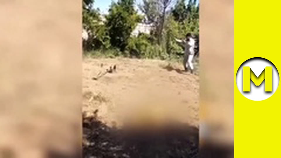 Max TV - season 1 - episode 144