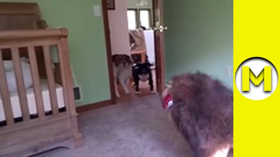 Max TV - season 1 - episode 144