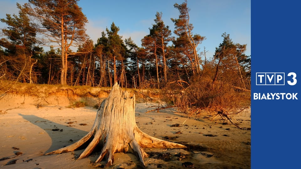 Polskie parki narodowe E9 - Narwiański Park Narodowy