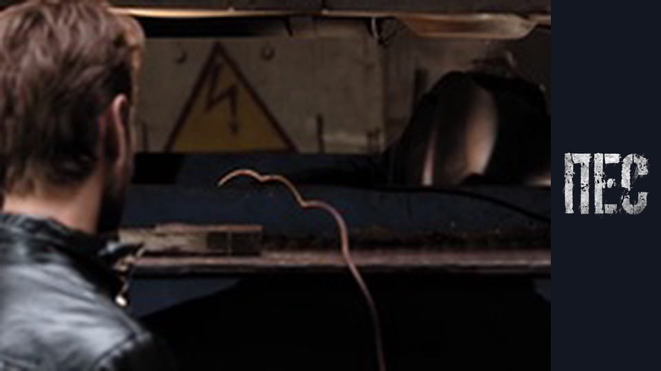 Dog, Season 2, Episode 18