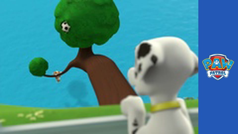 Paw Patrol Season 1 Episode 12