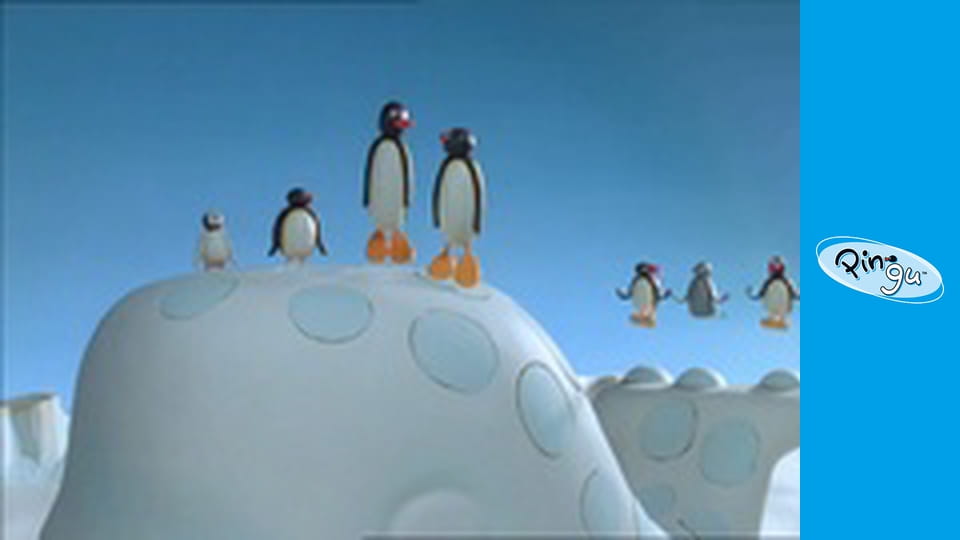 The Pingu Show Řada 1 Epizoda 17