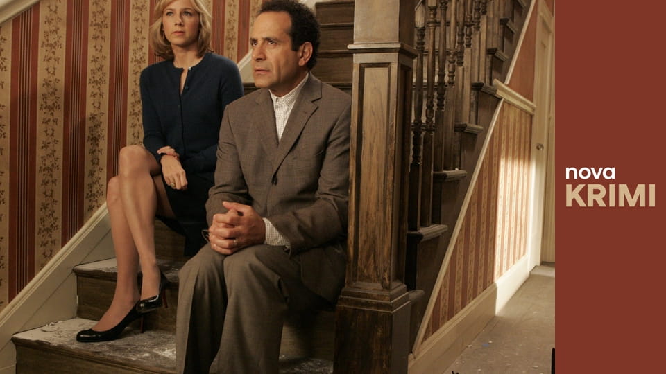 Můj přítel Monk S8E6 - Pan Monk a kritik