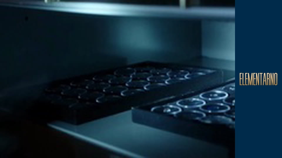 Elementary Season 1 Episode 10