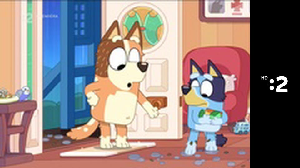 Medvedík Pompon E71 - Ako používať mozog