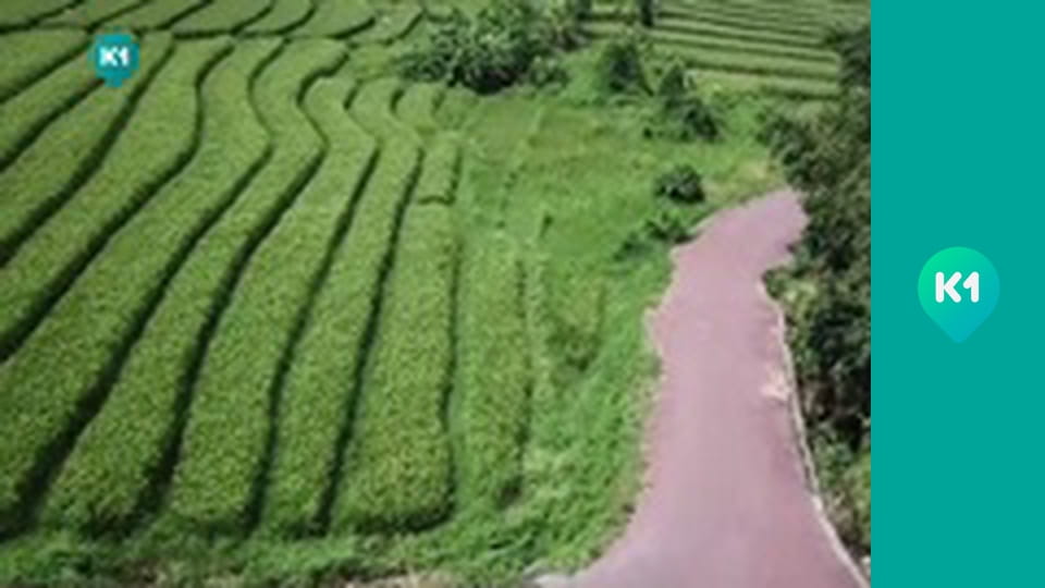 "Орел і Решка. Дайджест".