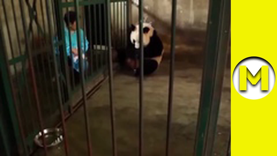 Max TV - season 1 - episode 161