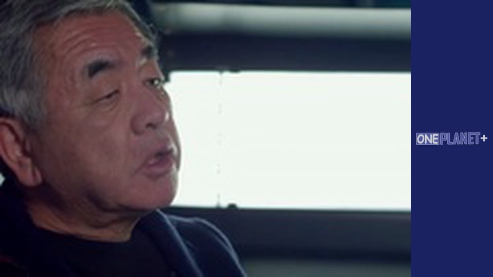 Updated Cities - series 2