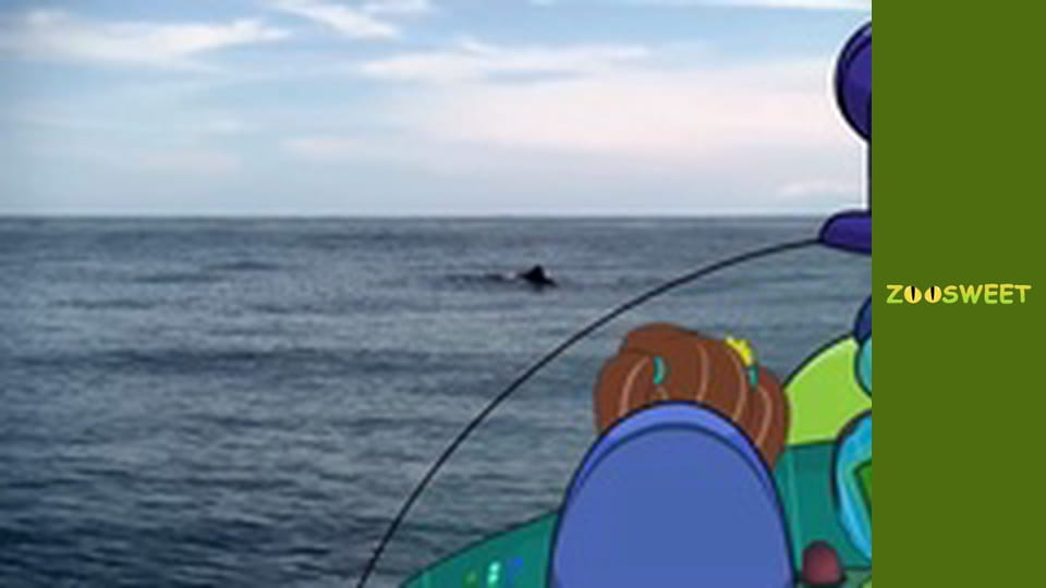 My friends are animals. Underwater mission - episode 20